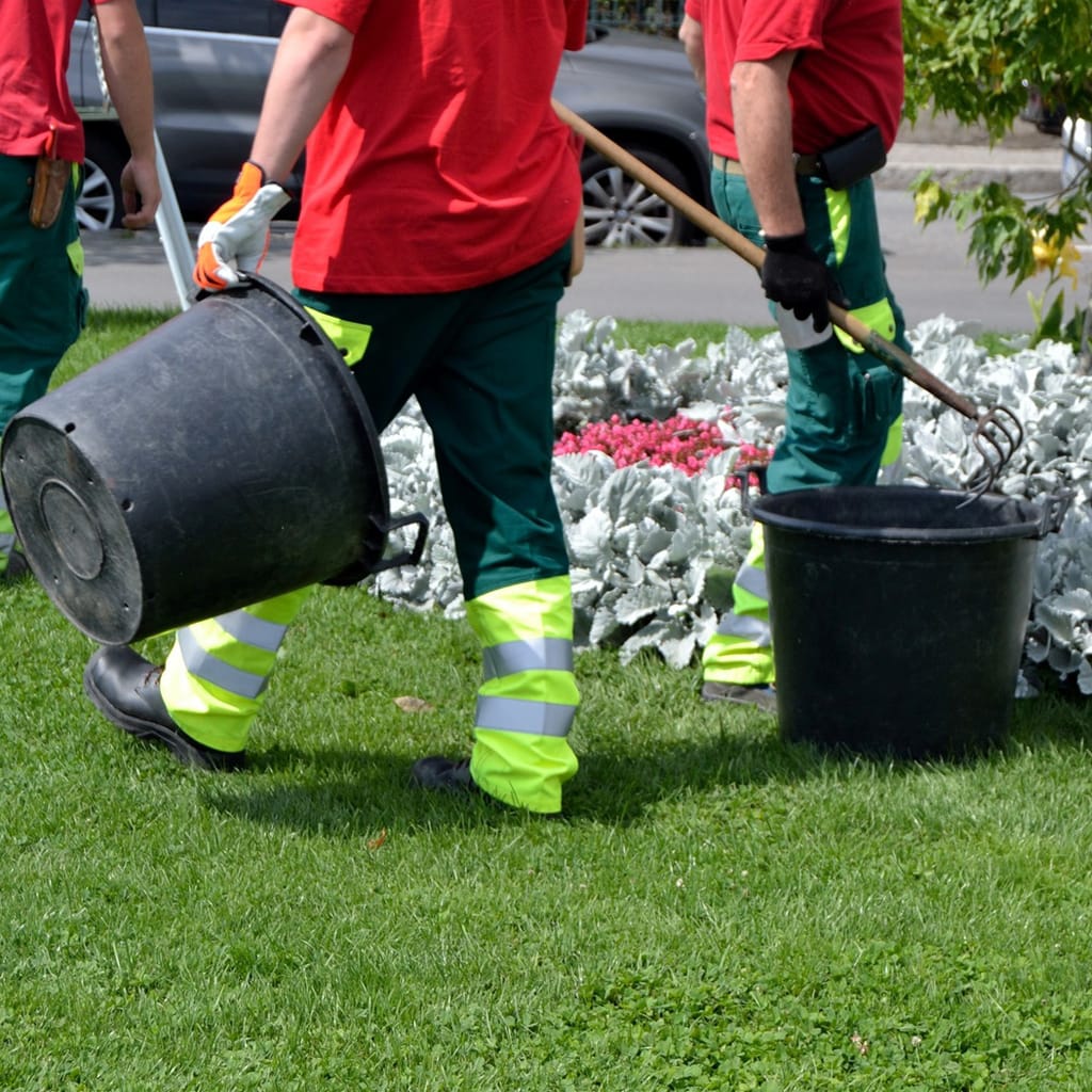 CLÉOR - Métier - Aménagement et entretien des espaces verts (A1203)