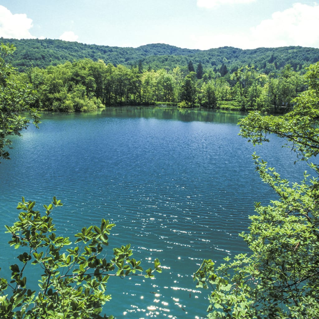 image garde (chasse, pêche, littoral, rivière, parcs nationaux)