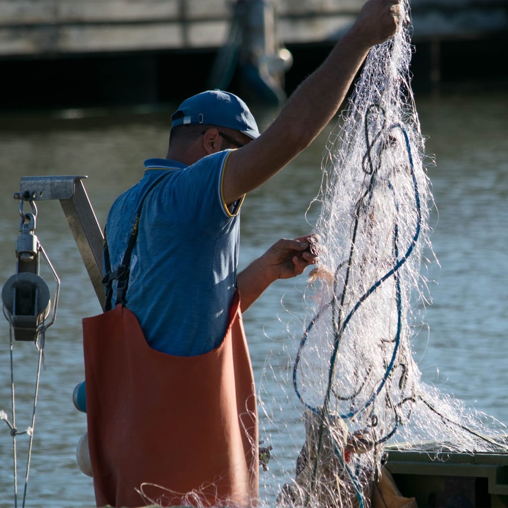 image patron pêcheur