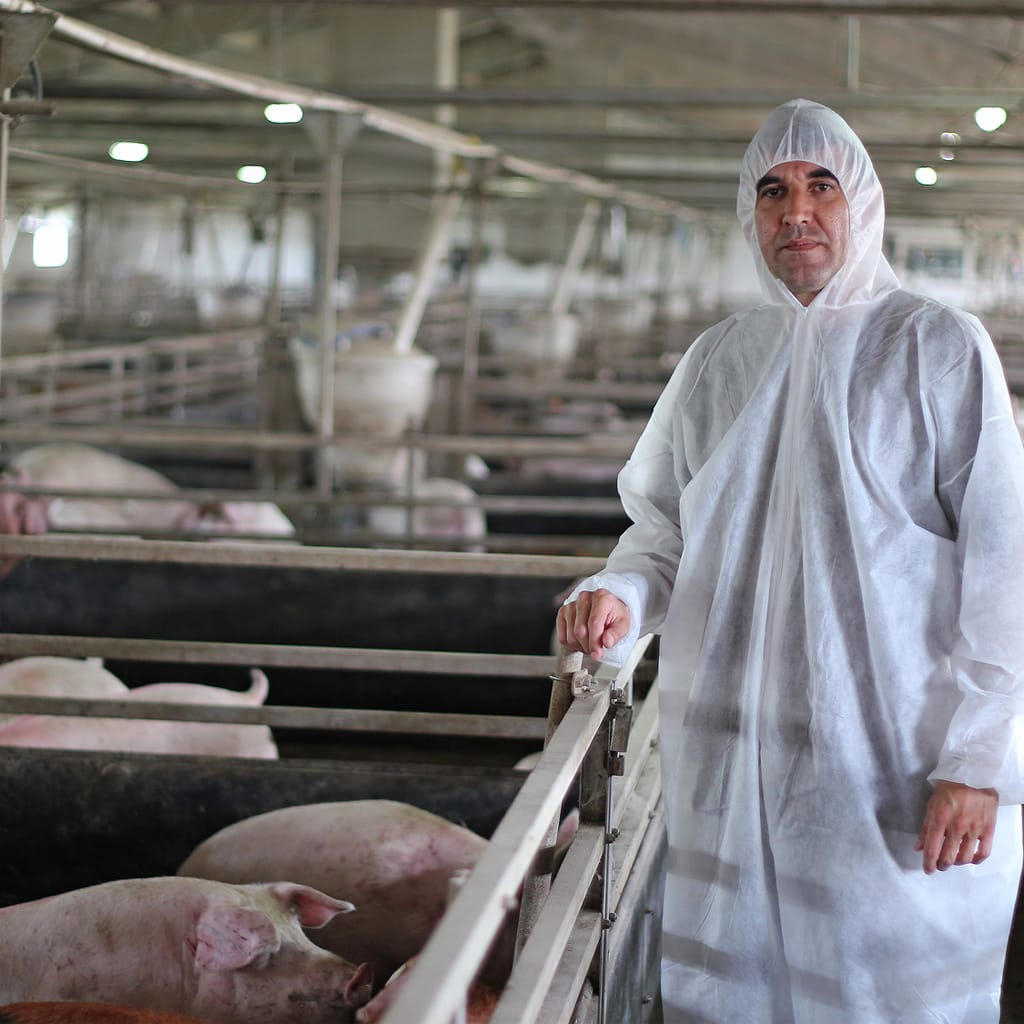 Chef de production agricole porcine