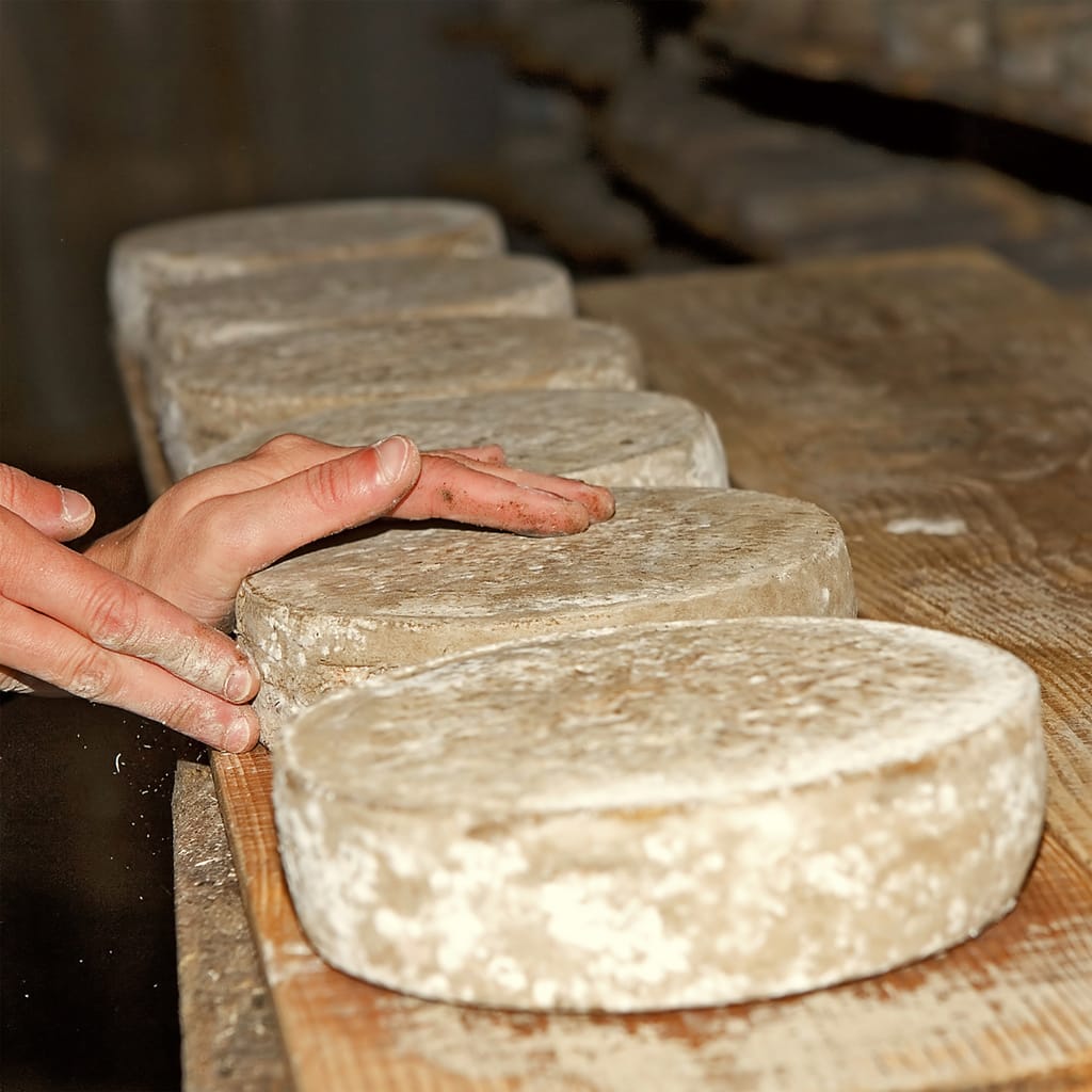 Affineur / Affineuse de fromages