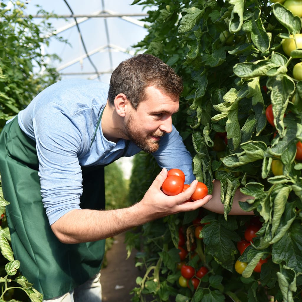 horticulteur/trice